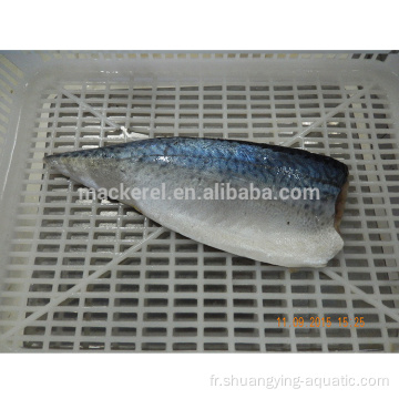 Filet de poisson de gros maquereau naturel congelé pour l&#39;exportation